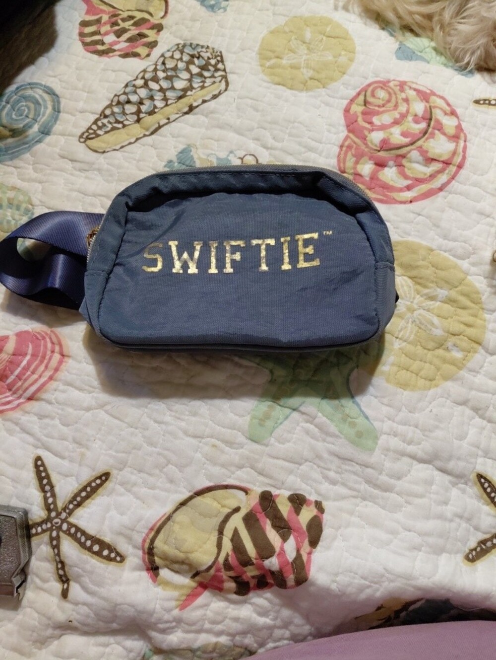 Taylor Swift Swiftie Fanny Pack Hip Bag Gold Clasp Official Merch